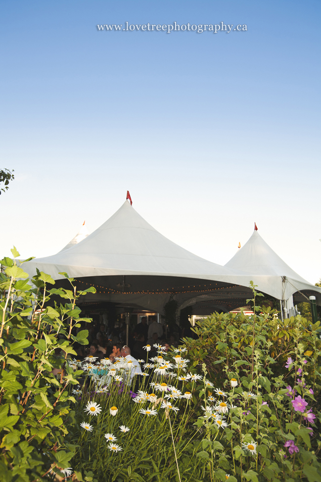 Redwoods Wedding Tents | image by Langley wedding photographer www.lovetreephotography.ca