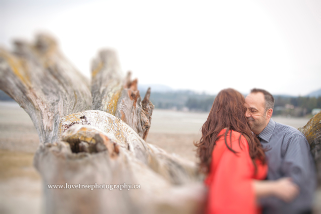 beach | Parksville engagement photographer www.lovetreephotography.ca