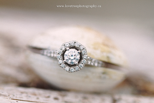 Parksville wedding photographer www.lovetreephotography.ca