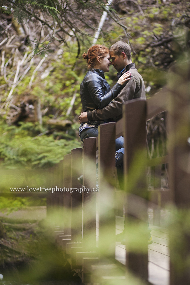 forest engagement pictures