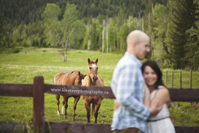 romantic and rustic country portrait session with horses; image by vancouver wedding photographer love tree photography