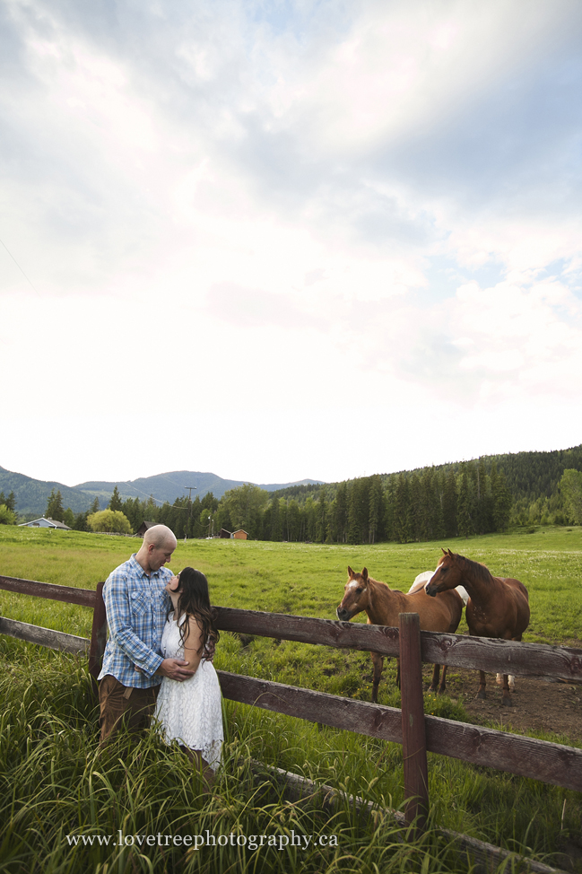 horses romantic couple portrait session; image by vancouver wedding photographer love tree photography