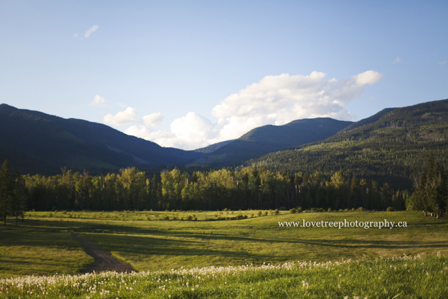 kamloops and kelowna landscapes; image by vancouver wedding photographer love tree photography