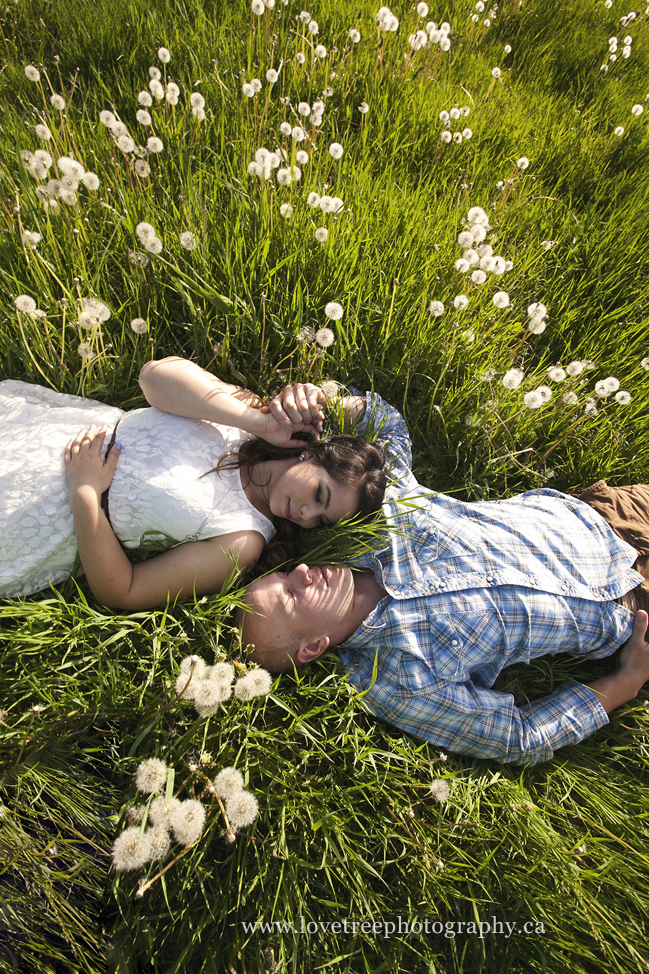 tall grass portraits; image by vancouver wedding photographer love tree photography