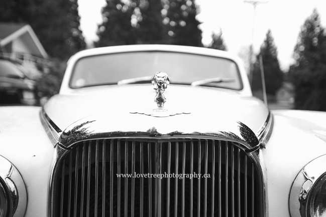 Time Limousine Service Ltd West Vancouver; image by www.lovetreephotography.ca