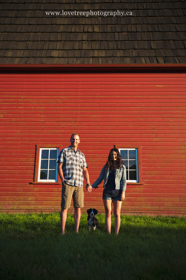 red barn, countryside couples portraits ; image by vancouver engagement photographers http://www.lovetreephotography.ca