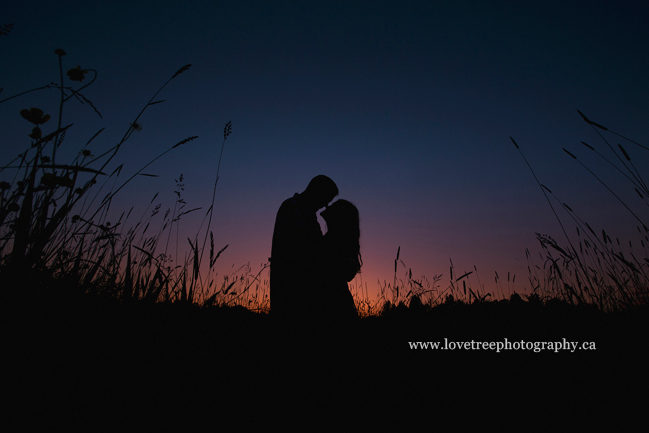 couple at sunset at campbell valley park; image by http://www.lovetreephotography.ca