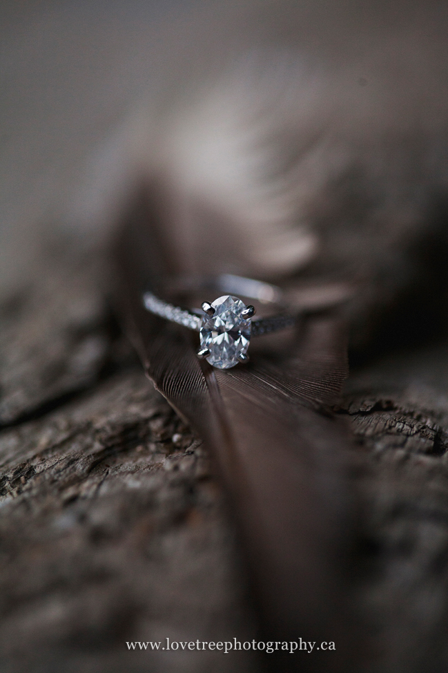 engagement ring and a feather ; image by wedding photographers Love Tree Photography