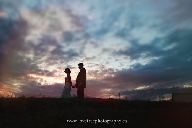 artistic wedding portraits in Vancouver by www.lovetreephotography.ca