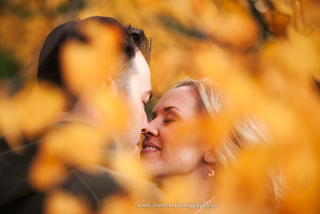 autumn engagement session by award winning photographers Love Tree Photography