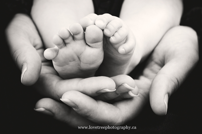 port moody baby photographer