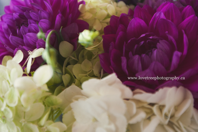 Tricities wedding photographers