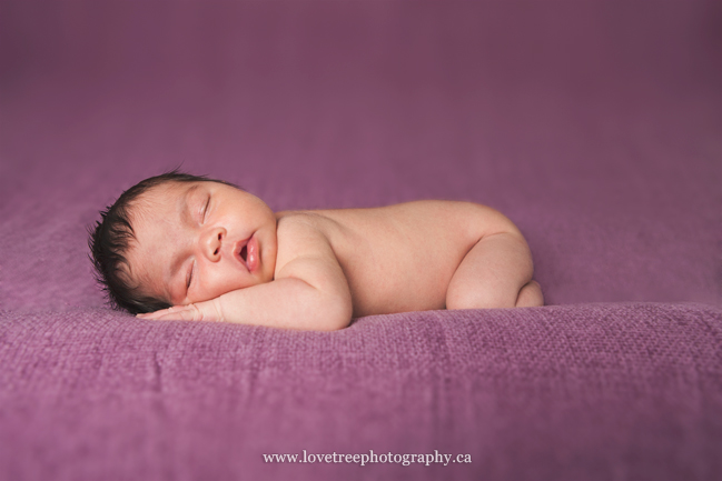 sleeping baby pose image by vancovuer photographer www.lovetreephotography.ca