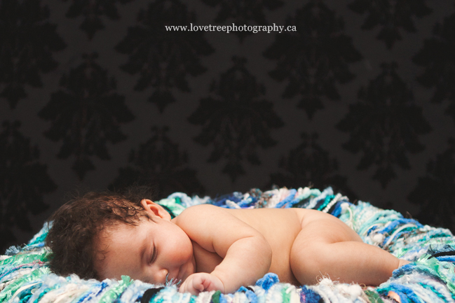 image by vancovuer photographer www.lovetreephotography.ca
