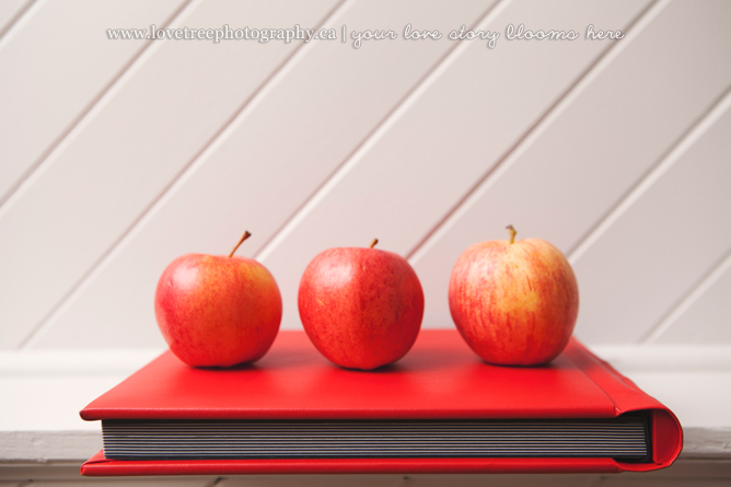 Red custom wedding albums by www.lovetreephotography.ca