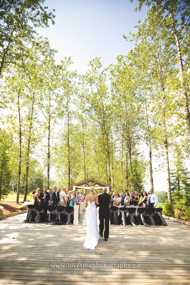 Redwoods wedding ceremony | image by Langley wedding photographer www.lovetreephotography.ca