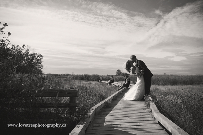 where to take wedding pictures in Ladner BC; image by vancouver wedding photographers www.lovetreephotography.ca