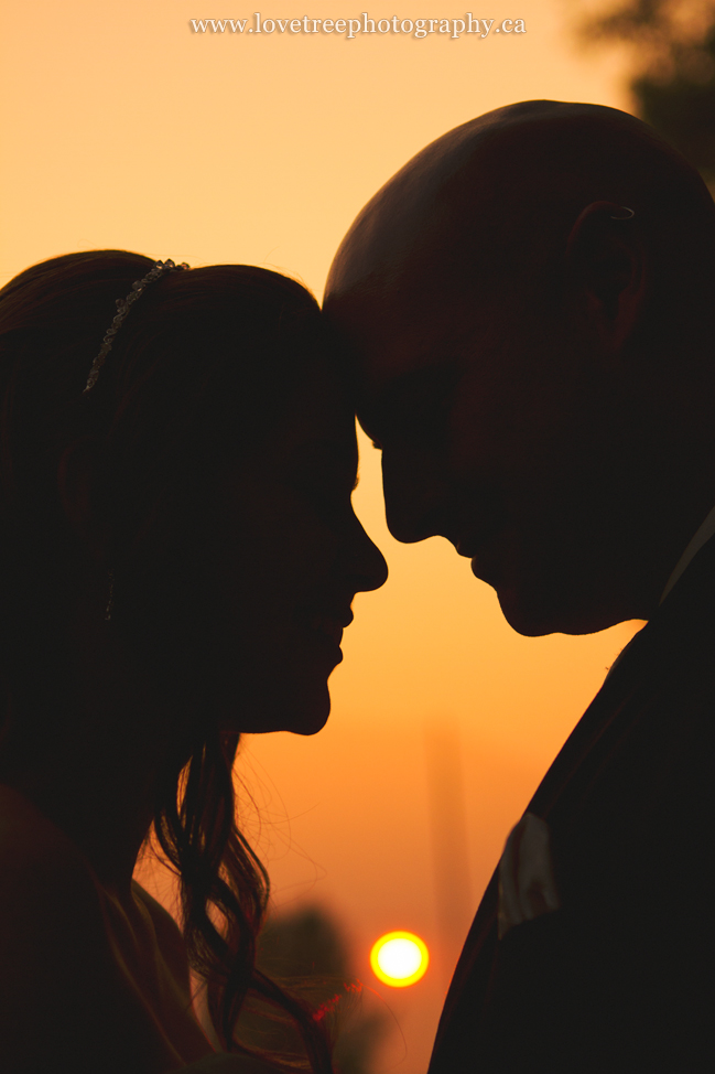 Shooting wedding portraits at sunset is much more dramatic and beautiful than mid day portraits (image by vancouver wedding photographer www.lovetreephotography.ca)