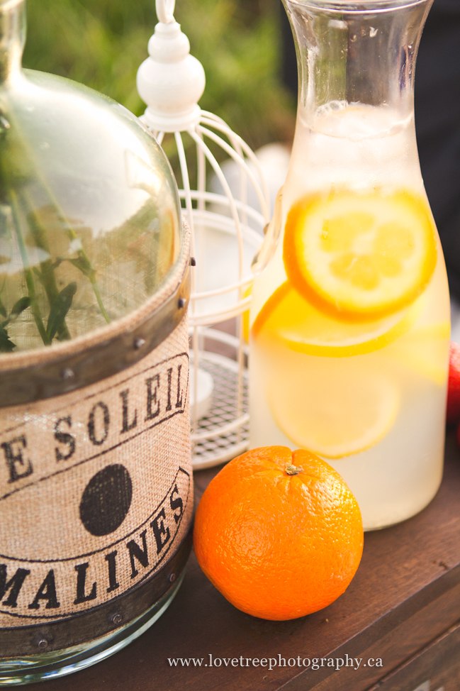 a citrusy picnic themed engagement session in Deer Lake Park by Vancouver wedding photographers www.lovetreephotography.ca