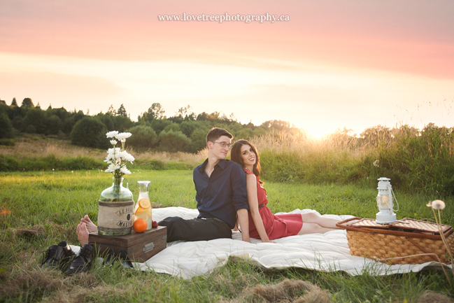 a stylized picnic themed engagement session in Deer Lake Park by Vancouver wedding photographers www.lovetreephotography.ca