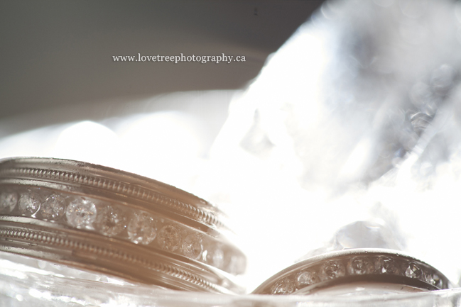 Wedding Rings on Ice | Chiliwack Wedding Photographer www.lovetreephotography.ca