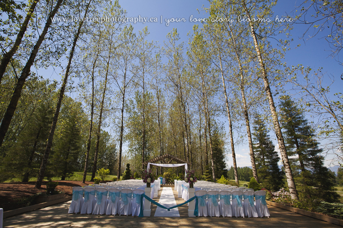 Redwoods outdoor wedding ceremony | image by rustic wedding photographers www.lovetreephotography.ca