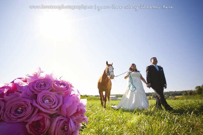 country wedding, a bride and her horse | image by rustic wedding photographers www.lovetreephotography.ca