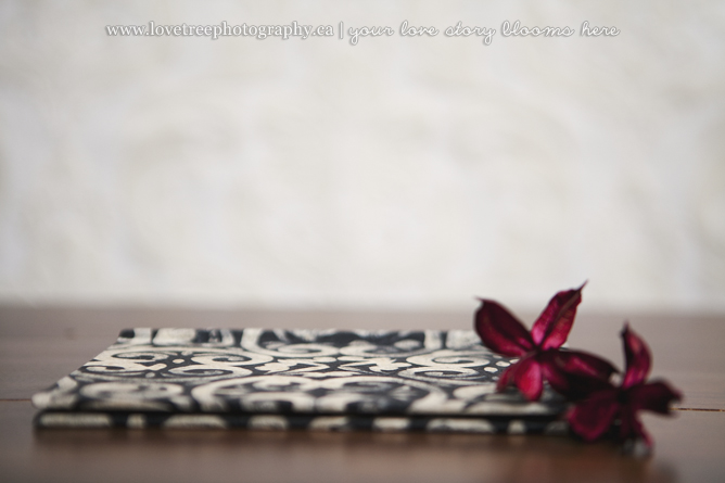 green wedding albums by www.lovetreephotography.ca