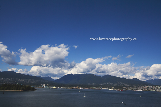 Pan Pacific view | image by Vancouver wedding photographer www.lovetreephotography.ca