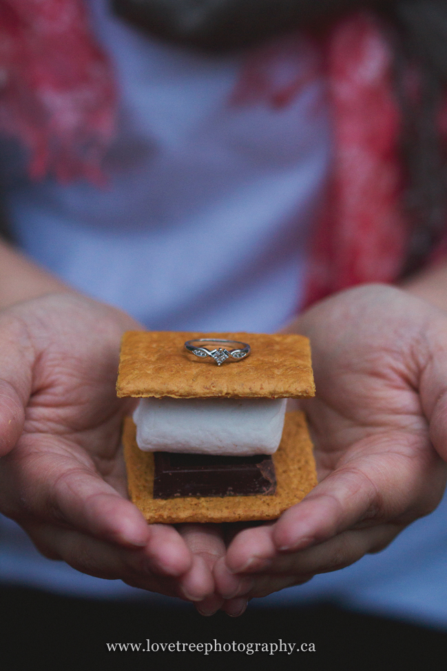 smoresromantic and rustic country portrait session ; image by vancouver wedding photographer love tree photography