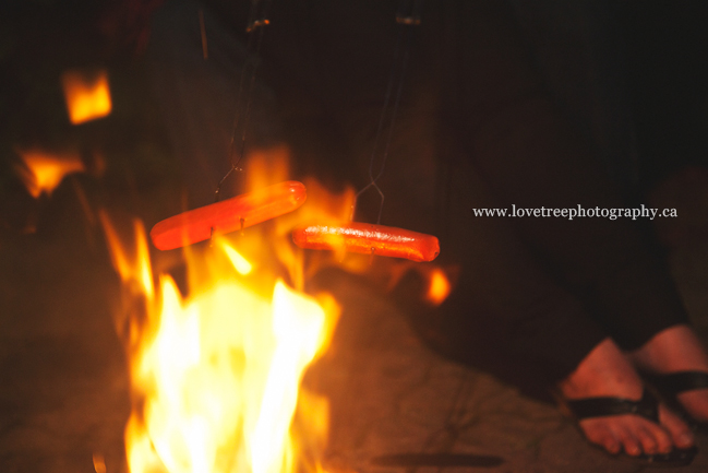 roasting hotdogsromantic and rustic country portrait session ; image by vancouver wedding photographer love tree photography