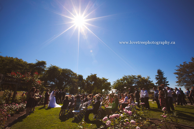 north burnaby wedding; image by www.lovetreephotography.ca