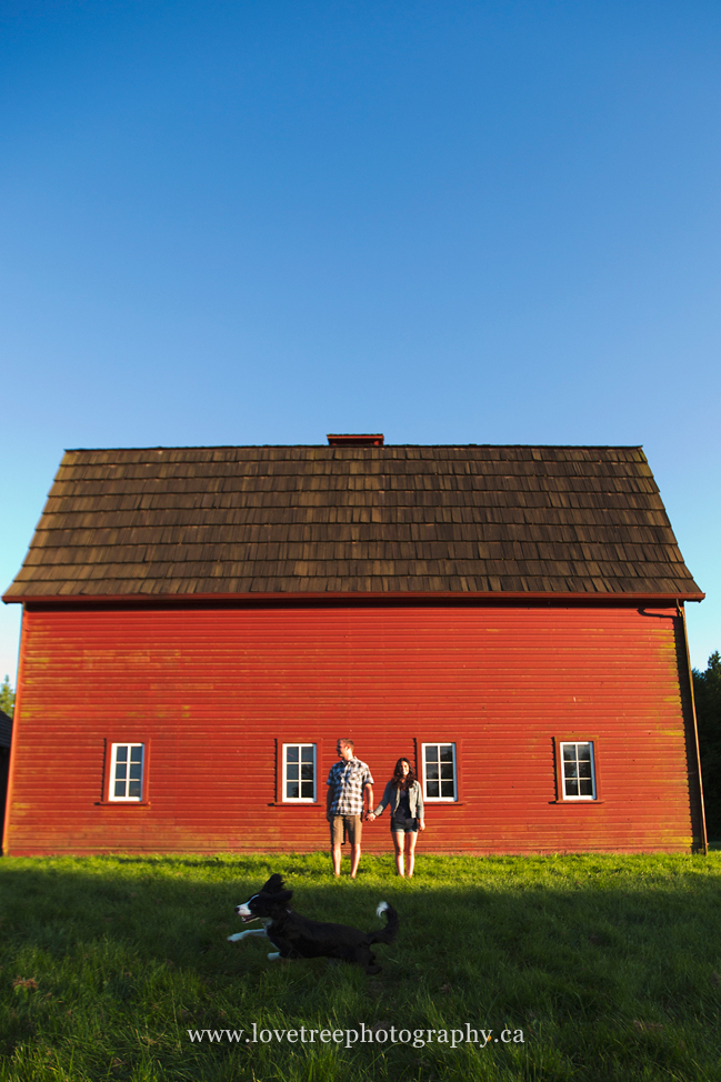 Love this big red barn for this portrait session! ; image by vancouver wedding photographers https://www.lovetreephotography.ca