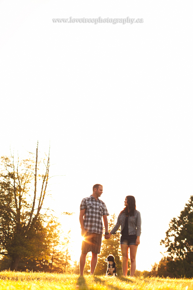 adorable to include your dog at the session! ; image by vancouver wedding photographer https://www.lovetreephotography.ca