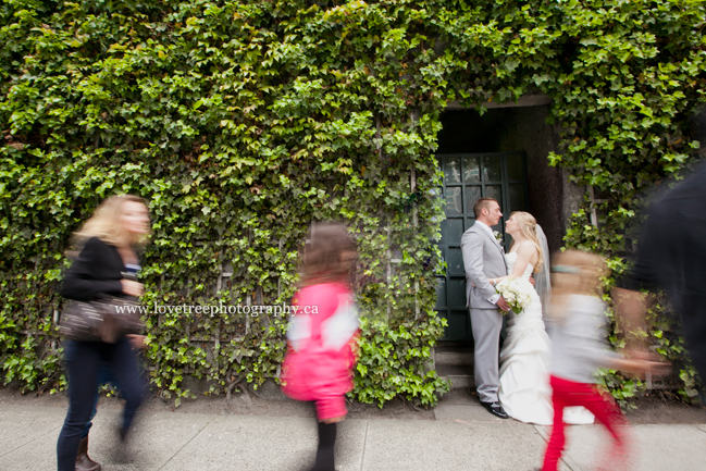 ivy wall in downtown Vancouver, BC; image by award winning Canadian wedding photographers www.lovetreephotography.ca