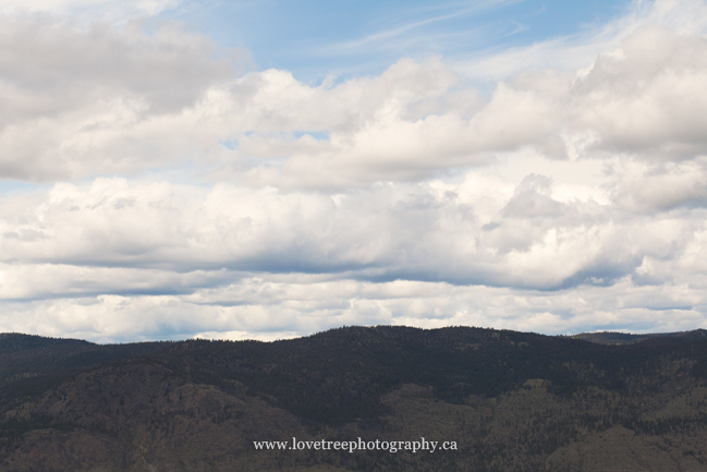 nicola valley weddings