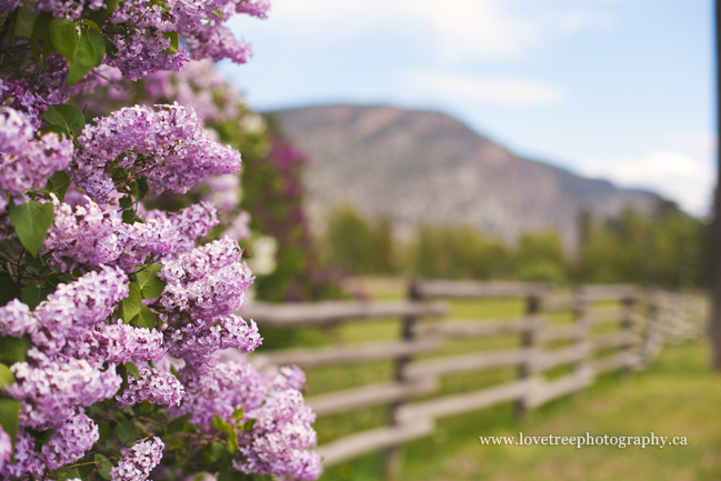 country weddings in vancouver bc