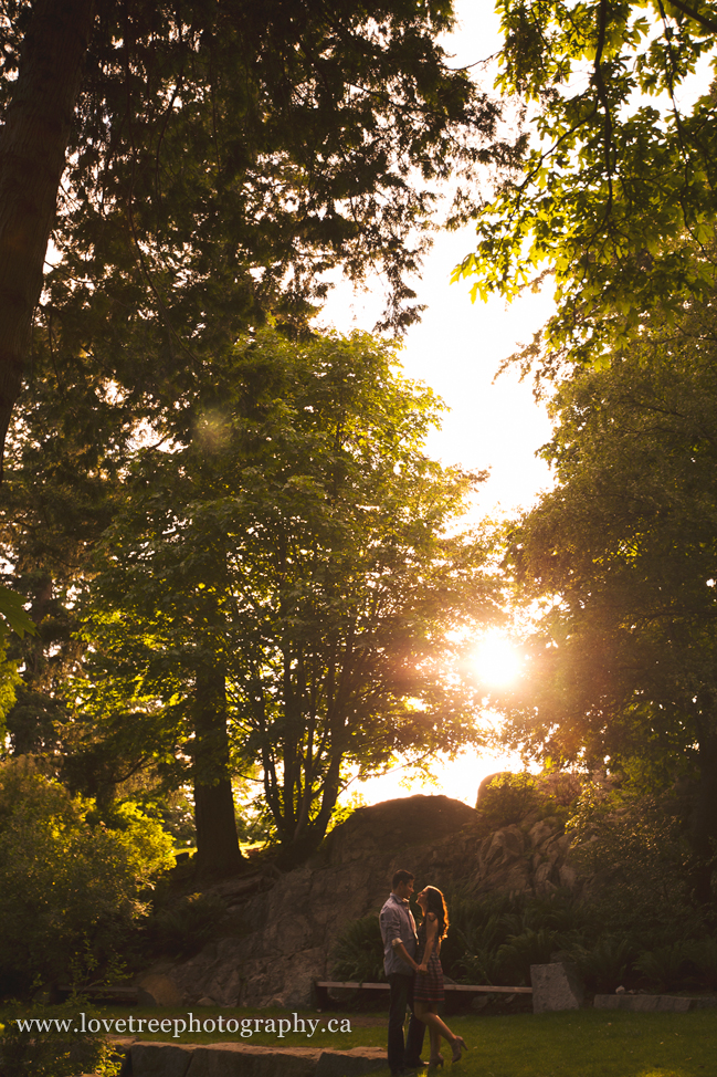 love the sun in the trees. vancouver engagement session by burnaby wedding photographers www.lovetreephotography.ca
