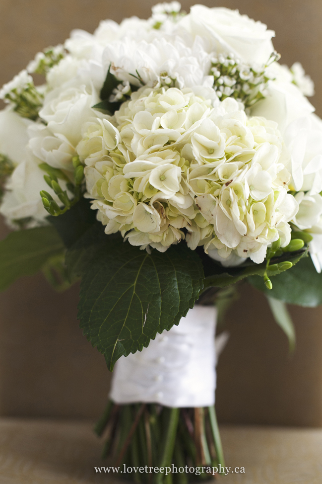 hydrangea wedding bouquet (www.lovetreephotography.ca)