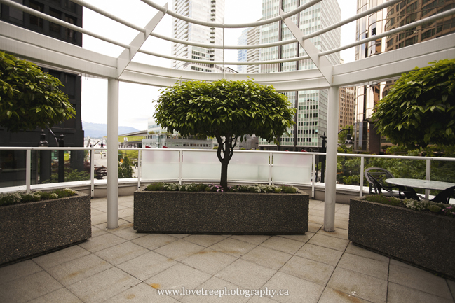 outdoor ceremony locations in vancouver image by canadian wedding photographers www.lovetreephotography.ca