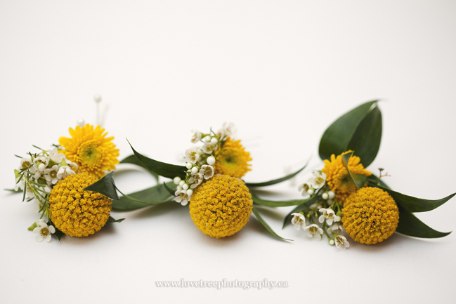 weddings and billy buttons image by vancouver wedding photographers www.lovetreephotography.ca