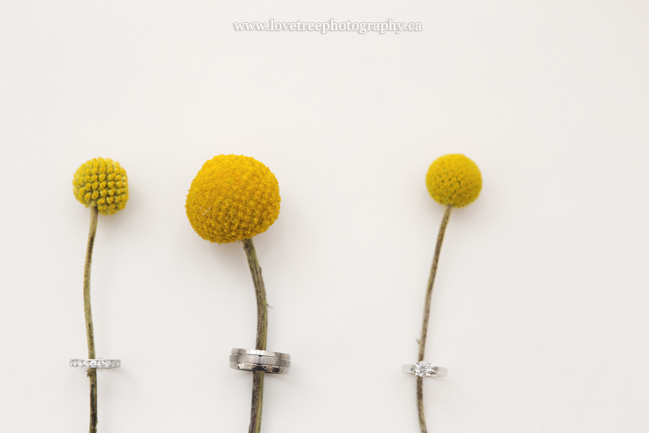 billy buttons and wedding rings ; image by destination wedding photographers www.lovetreephotography.ca
