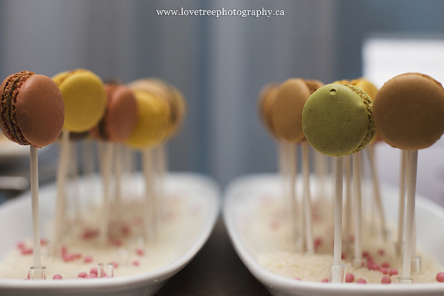 maracon pops! ; image by www.lovetreephotography.ca