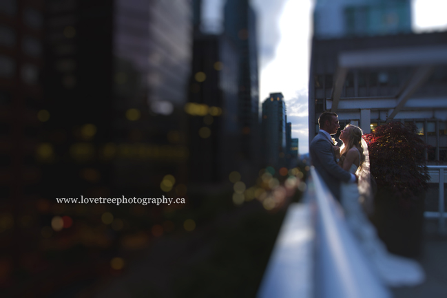 downtown vancouver night time wedding; image by www.lovetreephotography.ca