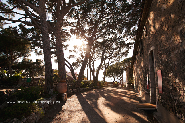 old cannes