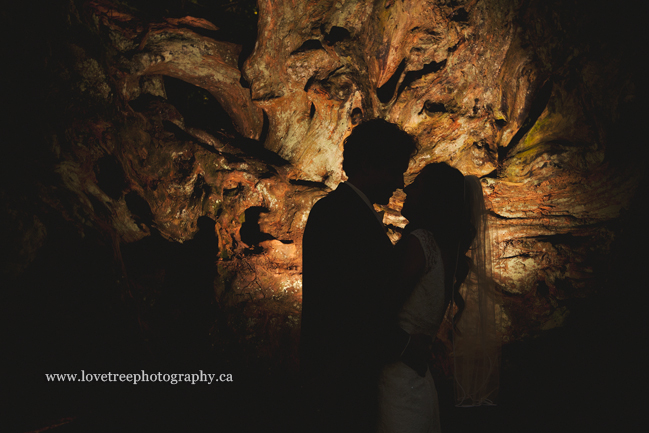 forest silhouette in front of a big old stump ; image by vancouver wedding photographer www.lovetreephotography.ca
