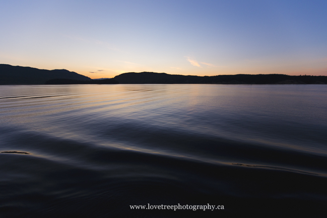 on the ferry home from Victoria BC