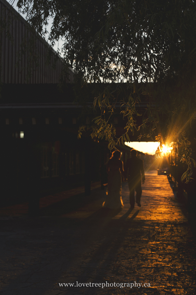 wedding Sunset in fort langley | image by vancouver wedding photographer www.lovetreephotography.ca