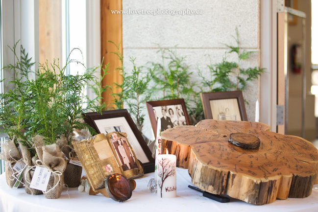 tree slab guestbook | image by www.lovetreephotography.ca