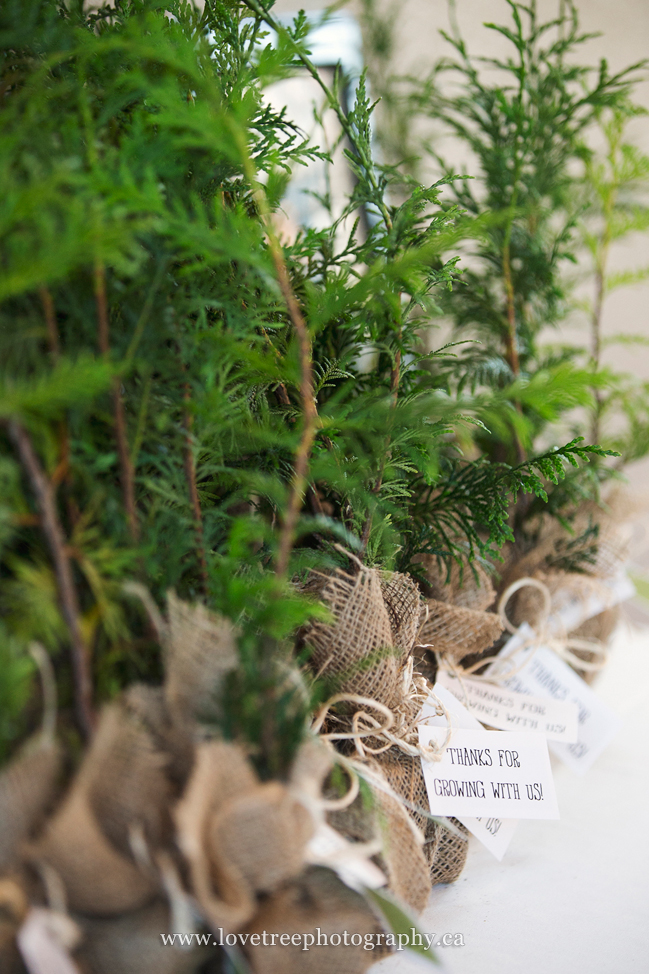 sapling wedding favors | image by www.lovetreephotography.ca